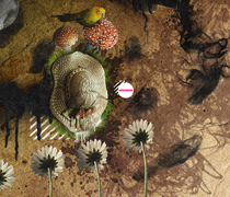 哪个平台可靠的免费ddos网页端